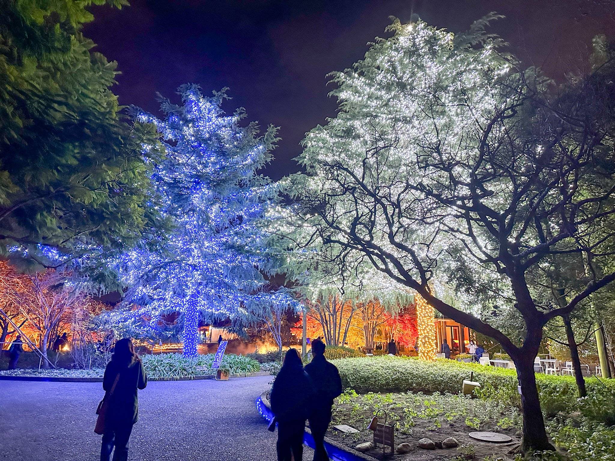 🌳 베쓰포 기념공원(메모리아루파쿠벳푸코엔) 이미지 10